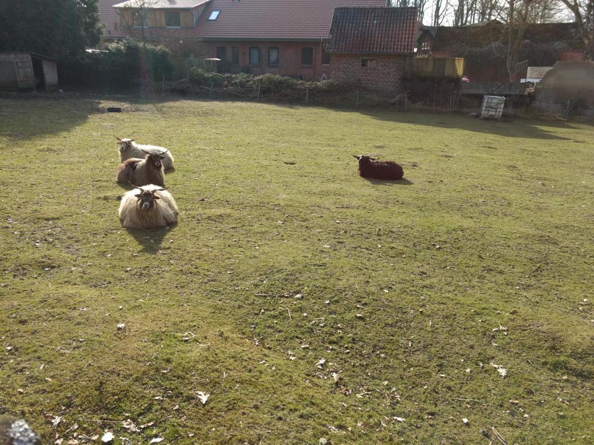 Fewo Haus Patze Betzendorf Esterno foto