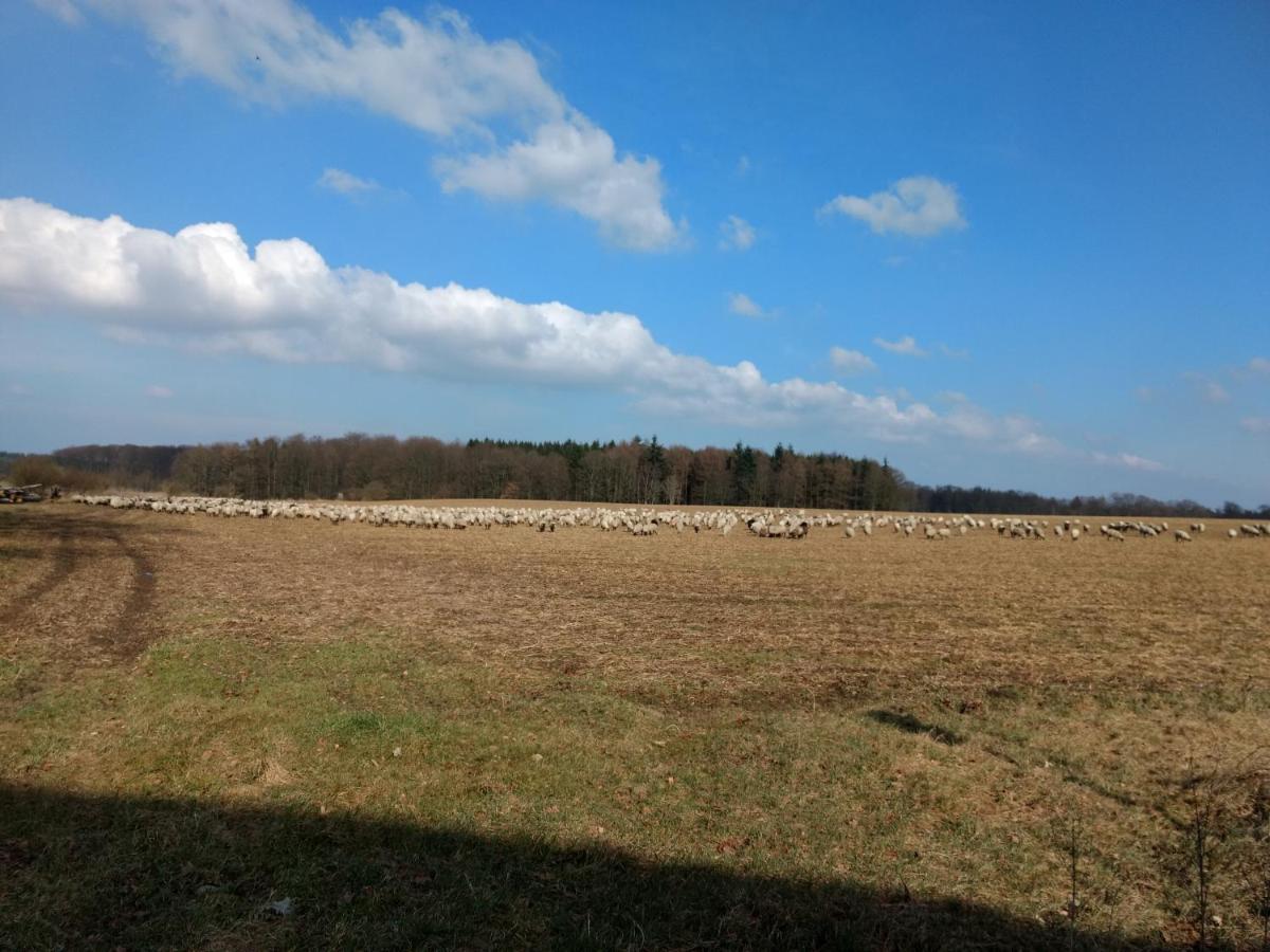 Fewo Haus Patze Betzendorf Esterno foto