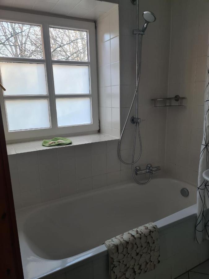Fewo Haus Patze Betzendorf Esterno foto